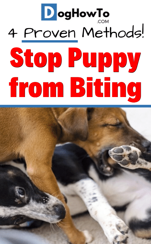 ways to stop your puppy from biting